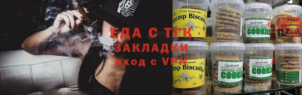 прущие грибы Вязьма